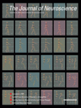 The Journal of Neuroscience: 25 (39)